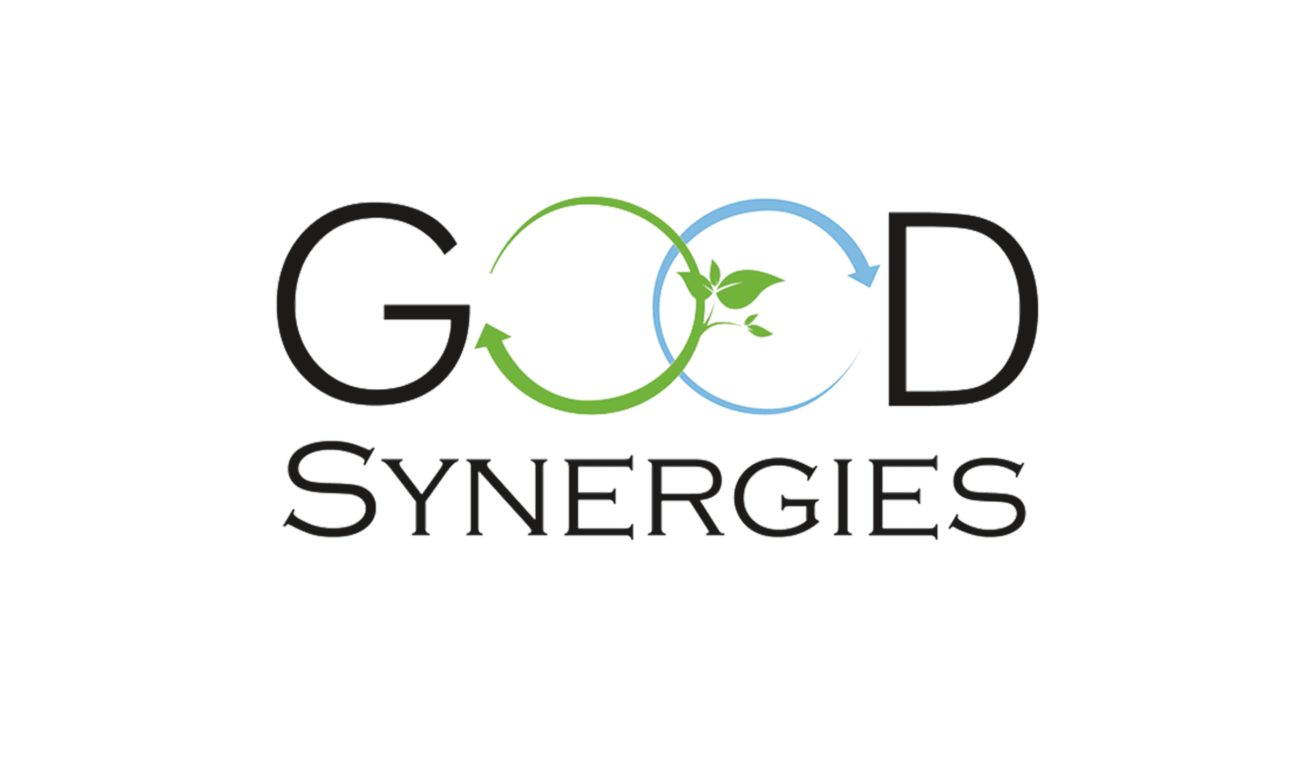 logo TRANSPARENT